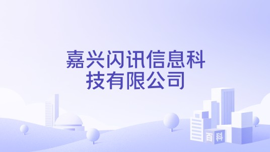 嘉兴闪讯信息科技有限公司