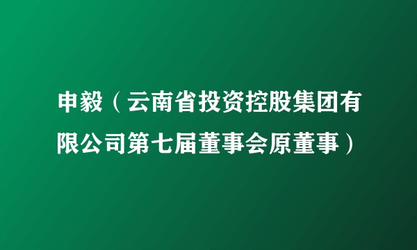 申毅（云南省投资控股集团有限公司第七届董事会原董事）