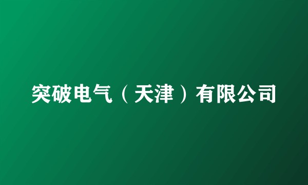 突破电气（天津）有限公司