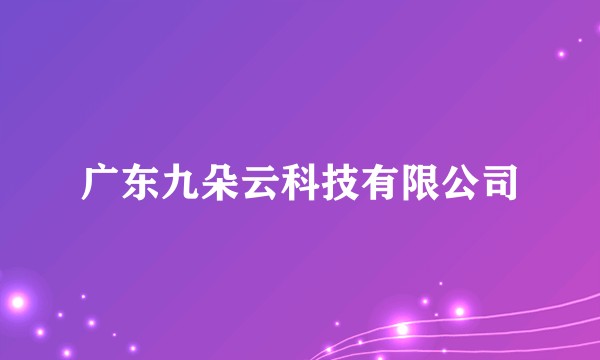 广东九朵云科技有限公司