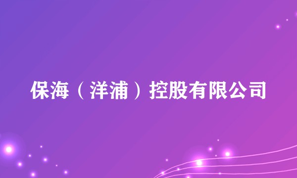 保海（洋浦）控股有限公司