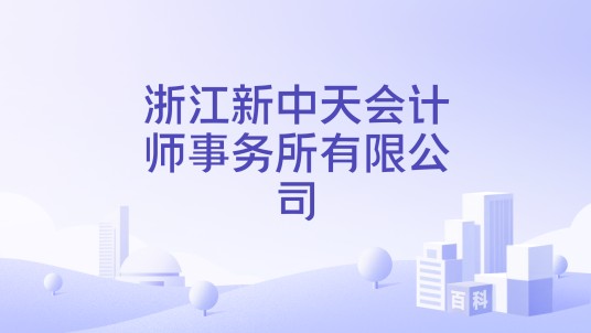 浙江新中天会计师事务所有限公司