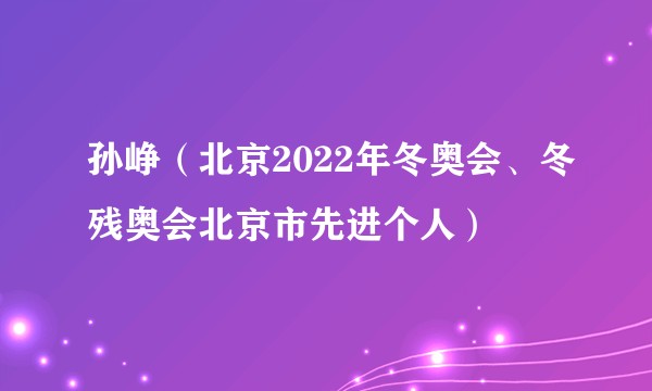 孙峥（北京2022年冬奥会、冬残奥会北京市先进个人）
