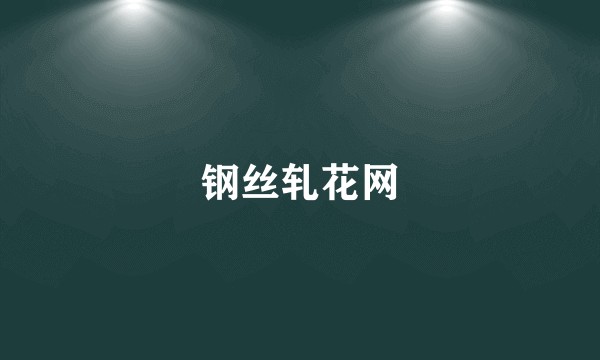 钢丝轧花网