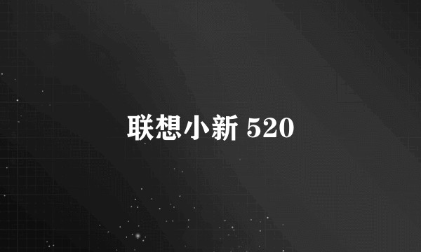 联想小新 520