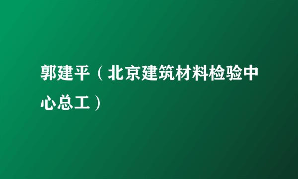 郭建平（北京建筑材料检验中心总工）