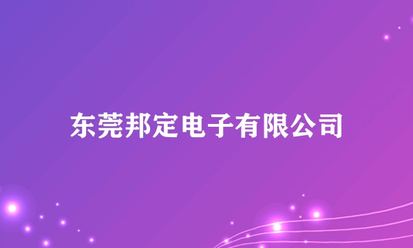 东莞邦定电子有限公司