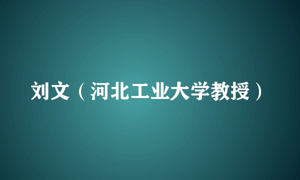 刘文（河北工业大学教授）