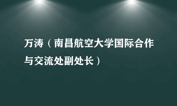 万涛（南昌航空大学国际合作与交流处副处长）