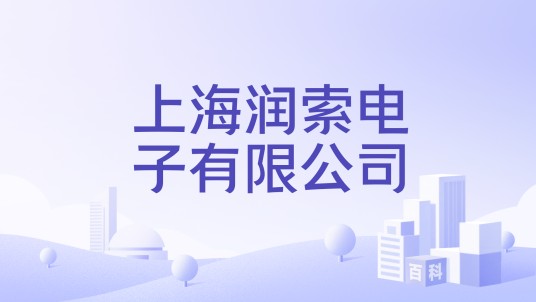 上海润索电子有限公司