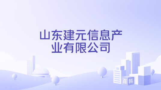 山东建元信息产业有限公司