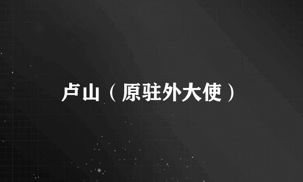 卢山（原驻外大使）