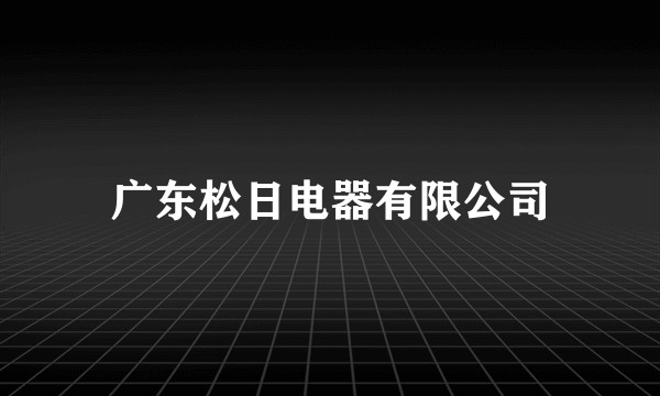 广东松日电器有限公司