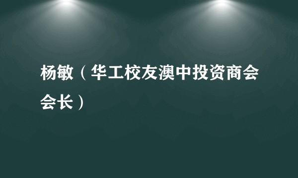杨敏（华工校友澳中投资商会会长）