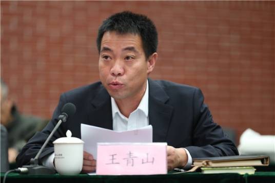 王青山（河北省承德市丰宁满族自治县委常委、统战部长、县政协党组副书记）