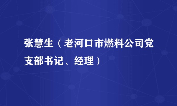 张慧生（老河口市燃料公司党支部书记、经理）