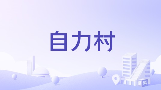 自力村（四川省广安市广安区大龙镇下辖村）
