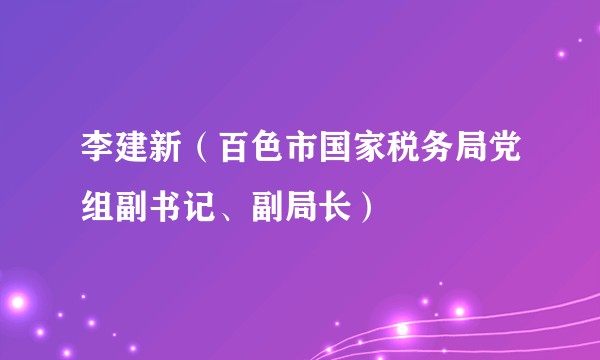 李建新(百色市国家税务局党组副书记、副局长)