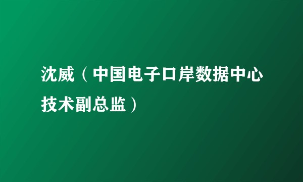 沈威（中国电子口岸数据中心技术副总监）