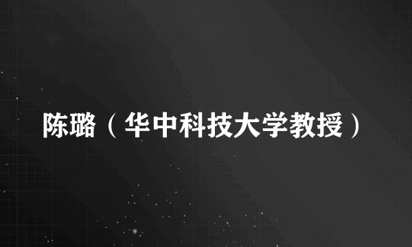 陈璐（华中科技大学教授）
