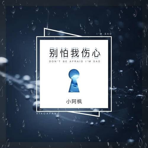 别怕我伤心(小阿枫演唱的歌曲)