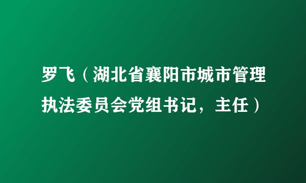 罗飞（湖北省襄阳市城市管理执法委员会党组书记，主任）