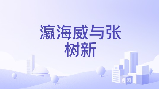 瀛海威与张树新
