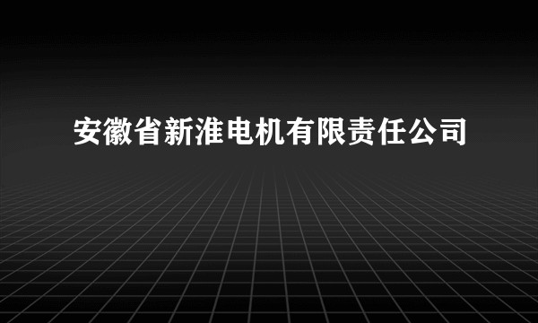 安徽省新淮电机有限责任公司