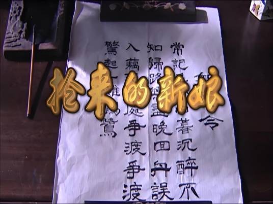 抢来的新娘（2009年王伟廷执导的电影）