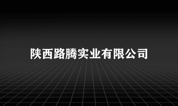 陕西路腾实业有限公司