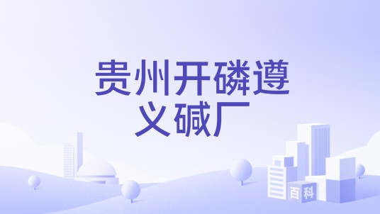 贵州开磷遵义碱厂