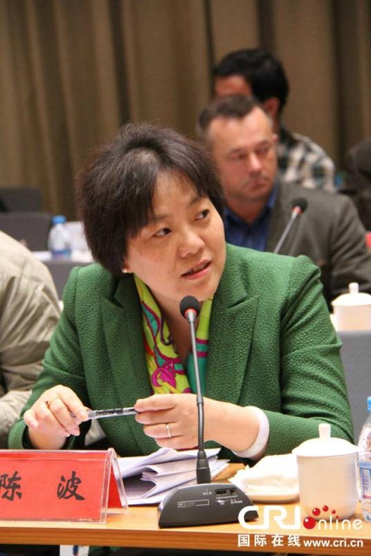 陈波（中国国际问题研究院院长、党委书记）