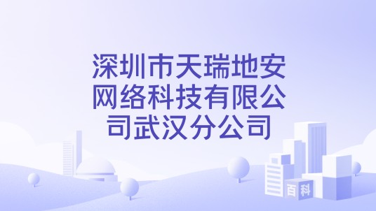 深圳市天瑞地安网络科技有限公司武汉分公司
