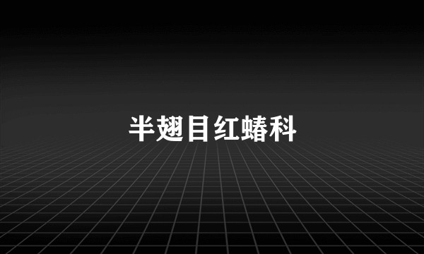 半翅目红蝽科