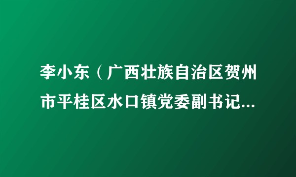李小东（广西壮族自治区贺州市平桂区水口镇党委副书记、镇长）