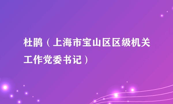 杜鹃（上海市宝山区区级机关工作党委书记）