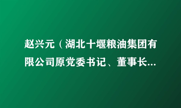 赵兴元（湖北十堰粮油集团有限公司原党委书记、董事长、总经理）