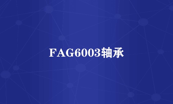 FAG6003轴承