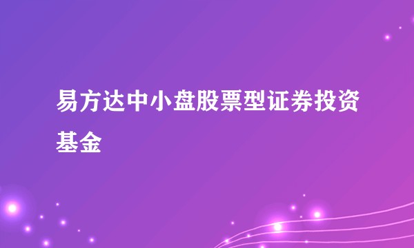 易方达中小盘股票型证券投资基金