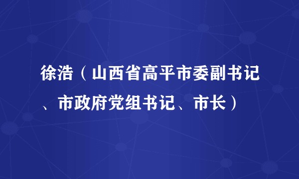 徐浩（山西省高平市委副书记、市政府党组书记、市长）