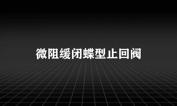 微阻缓闭蝶型止回阀
