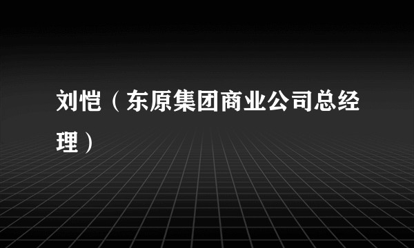 刘恺（东原集团商业公司总经理）