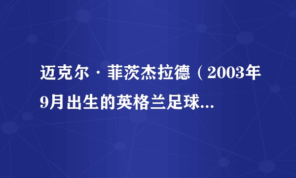 迈克尔·菲茨杰拉德（2003年9月出生的英格兰足球运动员）