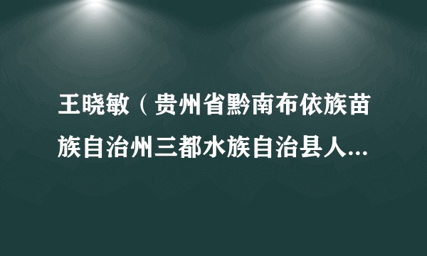 王晓敏（贵州省黔南布依族苗族自治州三都水族自治县人民政府党组成员、副县长）
