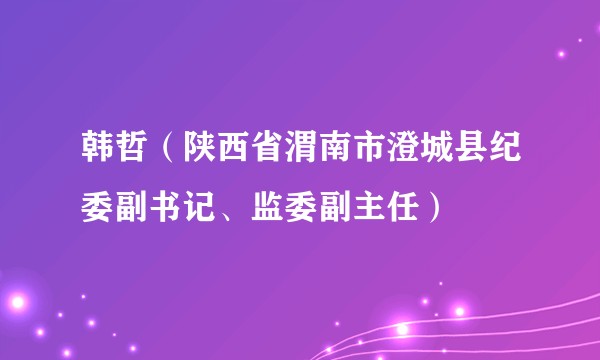 韩哲（陕西省渭南市澄城县纪委副书记、监委副主任）