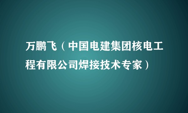 万鹏飞(中国电建集团核电工程有限公司焊接技术专家)