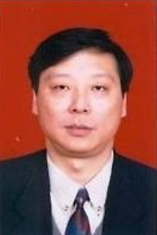 金星（中国地质大学（武汉）教授）