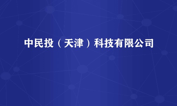 中民投（天津）科技有限公司