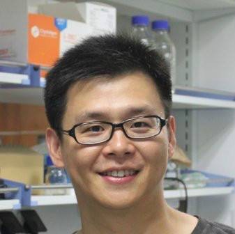 杨力（复旦大学生物医学研究院研究员）