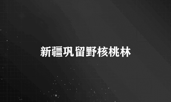 新疆巩留野核桃林